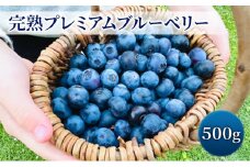 完熟プレミアムブルーベリー 約500g（約125gx4パック） 大粒 甘み 希少性 プレミアム ブルーベリー ハイブッシュ系 ブルーベリー 厳選 樹上完熟果