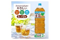 定期便 2ヵ月 麦茶 GREEN DA・KA・RA やさしい麦茶 2L×6本 2箱 ペットボトル