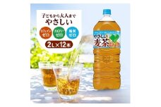 麦茶 GREEN DA・KA・RA やさしい麦茶 2L×6本 2箱 ペットボトル