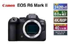 キヤノン EOS R6 Mark 2 ボディー ミラーレス一眼カメラ Canon