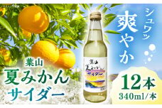 葉山夏みかんサイダー（12本入り） / ジュース 炭酸 ミカン 神奈川県 特産品 みかん 炭酸飲料 葉山 葉山町 夏みかん【リカーズかさはら】 [ASBB001]