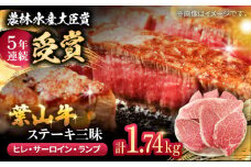 【着日指定必須】ヒレ ステーキ【数量限定】葉山牛ステーキ三昧 計1.74kg (ヒレ 150g×3枚 サーロイン 250g×3枚 ランプ 180g×3枚) / 牛肉 和牛 ヒレ サーロイン ランプ ステーキ ステーキ肉 食べ比べ  神奈川県 特産品 葉山町 【(有)葉山旭屋牛肉店】 [ASAP005]