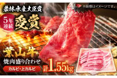 【着日指定必須】焼肉用 【数量限定】葉山牛 焼肉 盛り合わせ / 牛肉 和牛 やきにく カルビ 神奈川県 特産品 焼肉 盛り合わせ 葉山牛 【(有)葉山旭屋牛肉店】 [ASAP004]