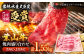 牛肉 和牛 やきにく カルビ 神奈川県 特産品 焼肉 盛り合わせ 葉山牛