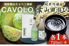 純米吟醸「葉山田游び」＆湘南葉山キャベツ焼酎「CAVOLO」セット / お酒 純米吟醸 焼酎 日本酒 セット 葉山田游び CAVOLO 神奈川県 葉山町【リカーズかさはら】 [ASBB002]