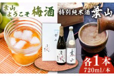 特別純米酒「葉山」＆葉山ようこそ梅酒セット / お酒 梅酒 うめ酒 特別純米酒 純米酒 葉山 葉山ようこそ 神奈川県 葉山町 セット【リカーズかさはら】 [ASBB003]