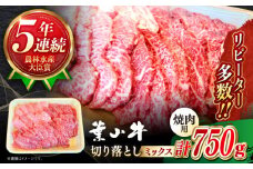 葉山牛 焼肉用 切り落とし ミックス ( 約750g×1パック ロース モモ カルビ 等 ) 国産 和牛 牛肉 切り落とし 黒毛和牛 葉山牛 焼肉 やきにく 食べ比べ A5 牛肉 焼肉セット 牛肉 葉山町【葉山牛ステーキレストラン 角車】 [ASBD002]