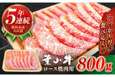 焼肉 葉山牛 ロース 焼肉用 800g / 牛肉 A5 黒毛和牛 ロース 焼肉 焼肉用 おすすめ 和牛 A5 神奈川県 葉山町【葉山牛ステーキレストラン 角車】 [ASBD007]