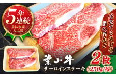 【幻の和牛】国産 和牛 A5ランク 牛肉 葉山牛 サーロインステーキ 計500g ( 250g × 2枚 ) / A5 黒毛和牛 500グラム サーロイン ステーキ 冷凍 人気 おすすめ 赤身 国産 葉山牛【葉山牛ステーキレストラン 角車】 [ASBD008]