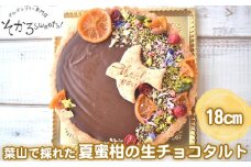 No.204 【グルテンフリーヴィーガン】葉山で採れた夏蜜柑の生チョコタルト / スイーツ デザート 米粉タルト マーマレード 有機エディブルフラワー 神奈川県 特産品
