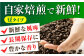 コーヒー 珈琲 豆 飲み比べ 深煎り 自家焙煎 神奈川県 葉山町 特産品 コーヒー豆
