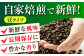 コーヒー 珈琲 豆 飲み比べ 深煎り 自家焙煎 神奈川県 葉山町 特産品