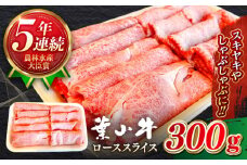 国産 和牛 A5ランク 黒毛和牛 葉山牛 ローススライス ( 約300g × 1パック ) 葉山牛 牛肉 しゃぶしゃぶ すき焼き すきしゃぶ A5 牛肉 和牛 ロース スライス すきやき すき焼 神奈川県 葉山町 ブランド牛 牛肉 贅沢 おすすめ 【葉山牛ステーキレストラン 角車】 [ASBD014]