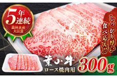 葉山牛 ロース焼肉用 300g 国産 和牛 A5ランク 牛肉 黒毛和牛 A5 黒毛和牛 ロース 焼肉 焼肉用 おすすめ 和牛 葉山牛 神奈川県 葉山町【葉山牛ステーキレストラン 角車】 [ASBD015]