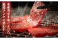 国産 和牛 A5ランク 牛肉 黒毛和牛 A5 黒毛和牛 ロース 焼肉 焼肉用 おすすめ 和牛 葉山牛 神奈川県 葉山町