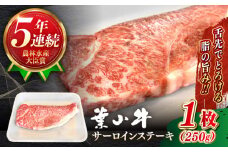 サーロイン 国産 和牛 A5ランク  葉山牛 サーロイン ステーキ 計250g ( 250g × 1枚 ) 牛肉 A5 黒毛和牛 250グラム サーロイン ステーキ 冷凍 人気 おすすめ 赤身 国産 葉山牛 神奈川県 葉山町【【葉山牛ステーキレストラン 角車】 [ASBD016]