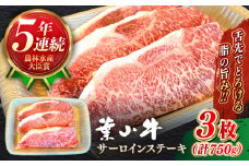 サーロイン 国産 和牛 A5ランク 牛肉 葉山牛 サーロインステーキ 計750g ( 250g × 3枚 ) A5 750グラム サーロイン ステーキ 冷凍 人気 おすすめ  国産 葉山牛【葉山牛ステーキレストラン 角車】 [ASBD017]