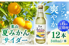【全6回定期便】葉山夏みかんサイダー（12本入り） / ジュース 炭酸 ミカン 神奈川県 特産品 みかん 炭酸飲料 葉山 葉山町 夏みかん【リカーズかさはら】 [ASBB005]