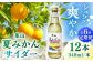 ジュース 炭酸 ミカン 神奈川県 特産品 みかん 炭酸飲料 葉山 葉山町 夏みかん