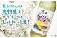 ジュース 炭酸 ミカン 神奈川県 特産品 みかん 炭酸飲料 葉山 葉山町 夏みかん
