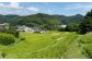 お酒 純米吟醸 焼酎 日本酒 セット 葉山田游び CAVOLO 神奈川県 葉山町