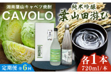 【全6回定期便】純米吟醸「葉山田游び」＆湘南葉山キャベツ焼酎「CAVOLO」セット / お酒 純米吟醸 焼酎 日本酒 セット 葉山田游び CAVOLO 神奈川県 葉山町【リカーズかさはら】 [ASBB008]