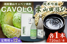 【全12回定期便】純米吟醸「葉山田游び」＆湘南葉山キャベツ焼酎「CAVOLO」セット / お酒 純米吟醸 焼酎 日本酒 セット 葉山田游び CAVOLO 神奈川県 葉山町【リカーズかさはら】 [ASBB009]