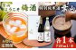 お酒 梅酒 うめ酒 特別純米酒 純米酒 葉山 葉山ようこそ 神奈川県 葉山町 セット