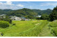 お酒 梅酒 うめ酒 特別純米酒 純米酒 葉山 葉山ようこそ 神奈川県 葉山町 セット