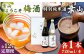 お酒 梅酒 うめ酒 特別純米酒 純米酒 葉山 葉山ようこそ 神奈川県 葉山町 セット