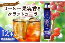 【先行予約】【2025年9月中旬から順次発送】カフェテーロ葉山　コーヒーチェリーコーラ　250g×12本 /コーラ エナジードリンク 酸味 コーヒー  神奈川県 葉山町 クラフトコーラ 天然 ドリンク 炭酸【合同会社エンディレクト】 [ASBM002]