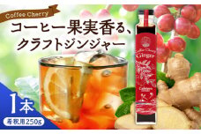 【先行予約】【2025年9月中旬から順次発送】カフェテーロ葉山　コーヒーチェリージンジャー　250g×1本 / コーラ エナジードリンク 酸味 コーヒー  神奈川県 葉山町 クラフトコーラ 天然 ドリンク 炭酸【合同会社エンディレクト】 [ASBM003]
