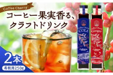 【先行予約】【2025年9月中旬から順次発送】カフェテーロ葉山　コーヒーチェリーコーラ 1本 コーヒーチェリージンジャー 1本 計2本 / コーラ エナジードリンク 酸味 コーヒー  神奈川県 葉山町 クラフトコーラ 天然 ドリンク 炭酸【合同会社エンディレクト】 [ASBM006]