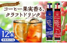 【先行予約】【2025年9月中旬から順次発送】カフェテーロ葉山　コーヒーチェリーコーラ 6本 コーヒーチェリージンジャー 6本/ コーラ エナジードリンク 酸味 コーヒー  神奈川県 葉山町 クラフトコーラ 天然 ドリンク 炭酸【合同会社エンディレクト】 [ASBM005]