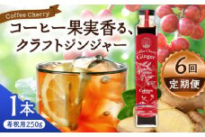 【先行予約】【2025年9月中旬から順次発送】【全6回定期便】カフェテーロ葉山　コーヒーチェリージンジャー　250g×1本 / コーラ エナジードリンク 酸味 コーヒー  神奈川県 葉山町 クラフトコーラ 天然 ドリンク 炭酸【合同会社エンディレクト】 [ASBM011]