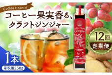 【先行予約】【2025年9月中旬から順次発送】【全12回定期便】カフェテーロ葉山　コーヒーチェリージンジャー　250g×1本 / コーラ エナジードリンク 酸味 コーヒー  神奈川県 葉山町 クラフトコーラ 天然 ドリンク 炭酸【合同会社エンディレクト】 [ASBM012]