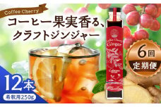 【先行予約】【2025年9月中旬から順次発送】【全6回定期便】カフェテーロ葉山　コーヒーチェリージンジャー　250g×12本 / コーラ エナジードリンク 酸味 コーヒー  神奈川県 葉山町 クラフトコーラ 天然 ドリンク 炭酸【合同会社エンディレクト】 [ASBM017]