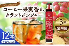 【先行予約】【2025年9月中旬から順次発送】【全3回定期便】カフェテーロ葉山　コーヒーチェリージンジャー　250g×12本 / コーラ エナジードリンク 酸味 コーヒー  神奈川県 葉山町 クラフトコーラ 天然 ドリンク 炭酸【合同会社エンディレクト】 [ASBM016]