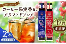 【先行予約】【2025年9月中旬から順次発送】【全12回定期便】カフェテーロ葉山　コーヒーチェリーコーラ 1本 コーヒーチェリージンジャー 1本 計2本 / コーラ エナジードリンク 酸味 コーヒー  神奈川県 葉山町 クラフトコーラ 天然 ドリンク 炭酸【合同会社エンディレクト】 [ASBM024]