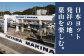神奈川県 葉山町 施設利用 チケット 利用券 係留料 艇置料  船 ふね レジャー 旅行 ヨット リゾート 釣り フィッシング 