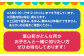 自然 海 山 体験 子供向け ファミリー 子供向け体験 交流 思い出 体験型 アウトドア 神奈川県 葉山町