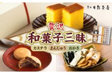 葉山日影茶屋 和菓子詰合せ 12個入 / 詰め合わせ ギフト スイーツ つぶあん カステラ つまみ おかき お返し 祝い  和菓子 焼き菓子 お菓子 神奈川県 葉山町【(株)日影茶屋】 [ASAX047]