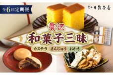 【全6回定期便】葉山日影茶屋 和菓子詰合せ 12個入 / 詰め合わせ ギフト スイーツ つぶあん カステラ おつまみ おかき お返し 祝い 和菓子 焼き菓子 お菓子 神奈川県 葉山町【(株)日影茶屋】 [ASAX082]