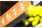 カツオ かつお 鰹 かつおごはん 弁当 かつお飯 名物料理 ごはんの素 料亭の味 祝い ギフト 神奈川県 葉山町