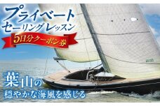 葉山の海でプライベートセーリングレッスン / セーリング プライベート 5日 ヨット レッスン 海 クルージング 神奈川県 葉山町【有限会社コンパスコース】 [ASBY001]