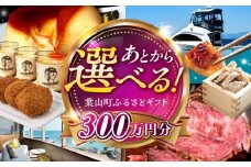 【あとから選べる】葉山町ふるさとギフト 300万円分 / 牛肉 葉山牛 プリン スイーツ 宿泊券 旅行 定期便 神奈川 葉山 カタログギフト [ASZU011]