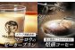 牛肉 葉山牛 プリン スイーツ 宿泊券 旅行 定期便 神奈川 葉山 カタログギフト