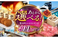 【あとから選べる】葉山町ふるさとギフト 400万円分 / 牛肉 葉山牛 プリン スイーツ 宿泊券 旅行 定期便 神奈川 葉山 カタログギフト [ASZU012]
