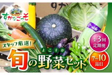 【全3回定期便】よこすか野菜セット すかなボックス / 野菜 やさい 野菜ボックス 野菜セット 野菜詰め合わせ 産地直送 野菜BOX おまかせ 食べ比べ 新鮮 季節 【JAよこすか葉山】 [ASCB002]