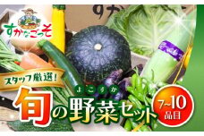 よこすか野菜セット すかなボックス / 野菜 やさい 野菜ボックス 野菜セット 野菜詰め合わせ 産地直送 野菜BOX おまかせ 食べ比べ 新鮮 季節 お楽しみ 【JAよこすか葉山】 [ASCB001]